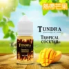 TUNDRA T 牌 芒果 馬來西亞 原裝｜小煙油 30ML