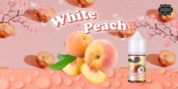 GENESIS 創世紀系列 小煙油 30ML｜小資首選