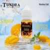 TUNDRA T 牌 芒果 馬來西亞 原裝｜小煙油 30ML